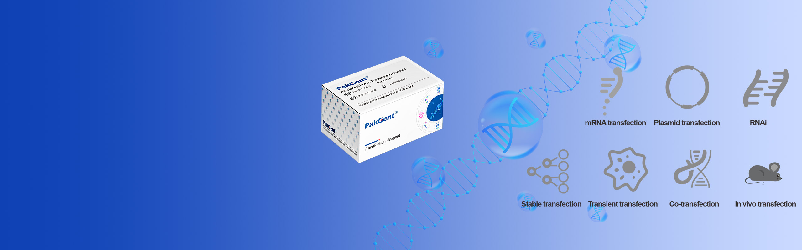 Transfection Reagent
