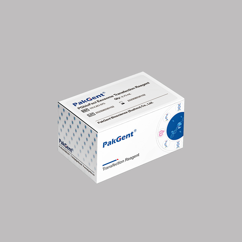 Transfection reagent