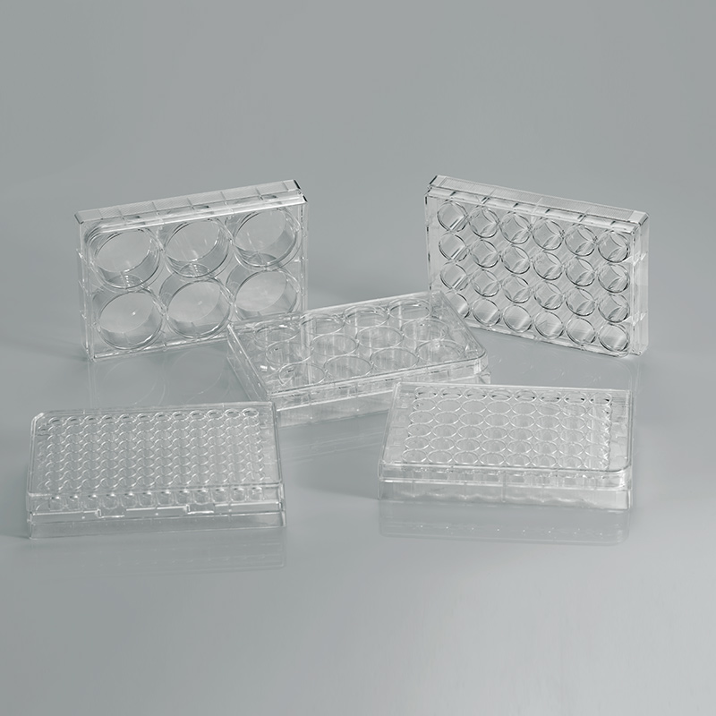 Cell Culture Plate