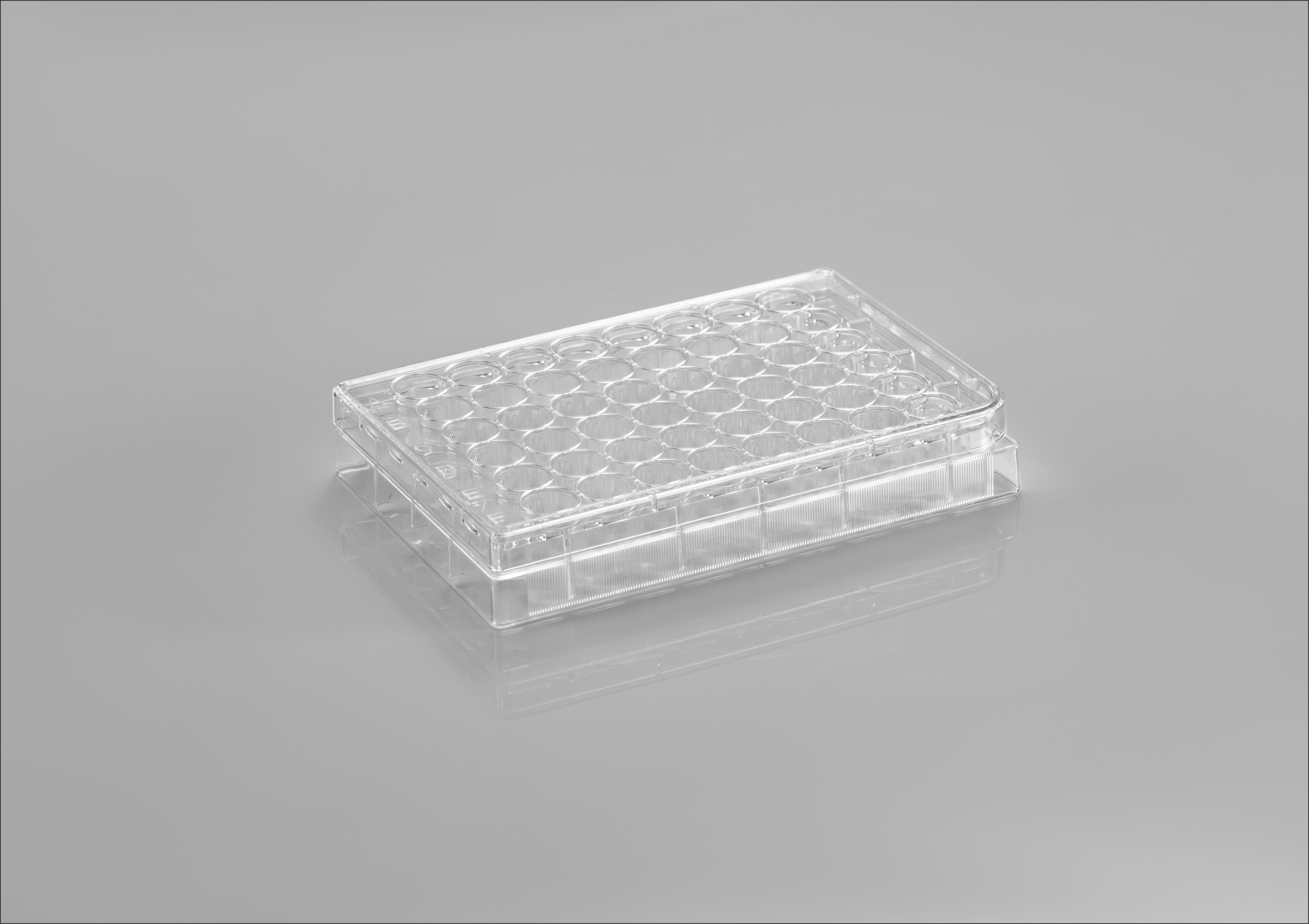 CL-PT048
