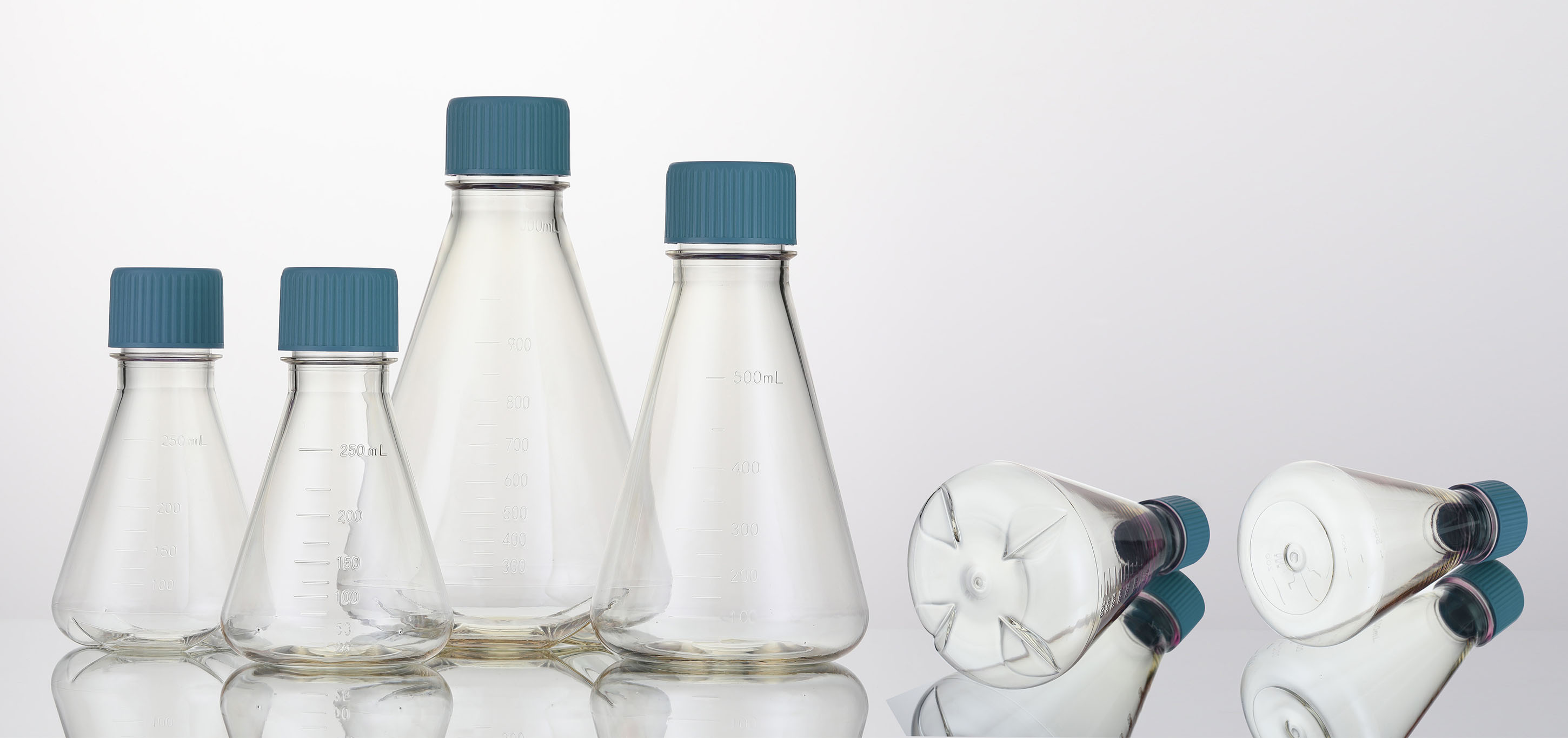 Erlenmeyer Flask