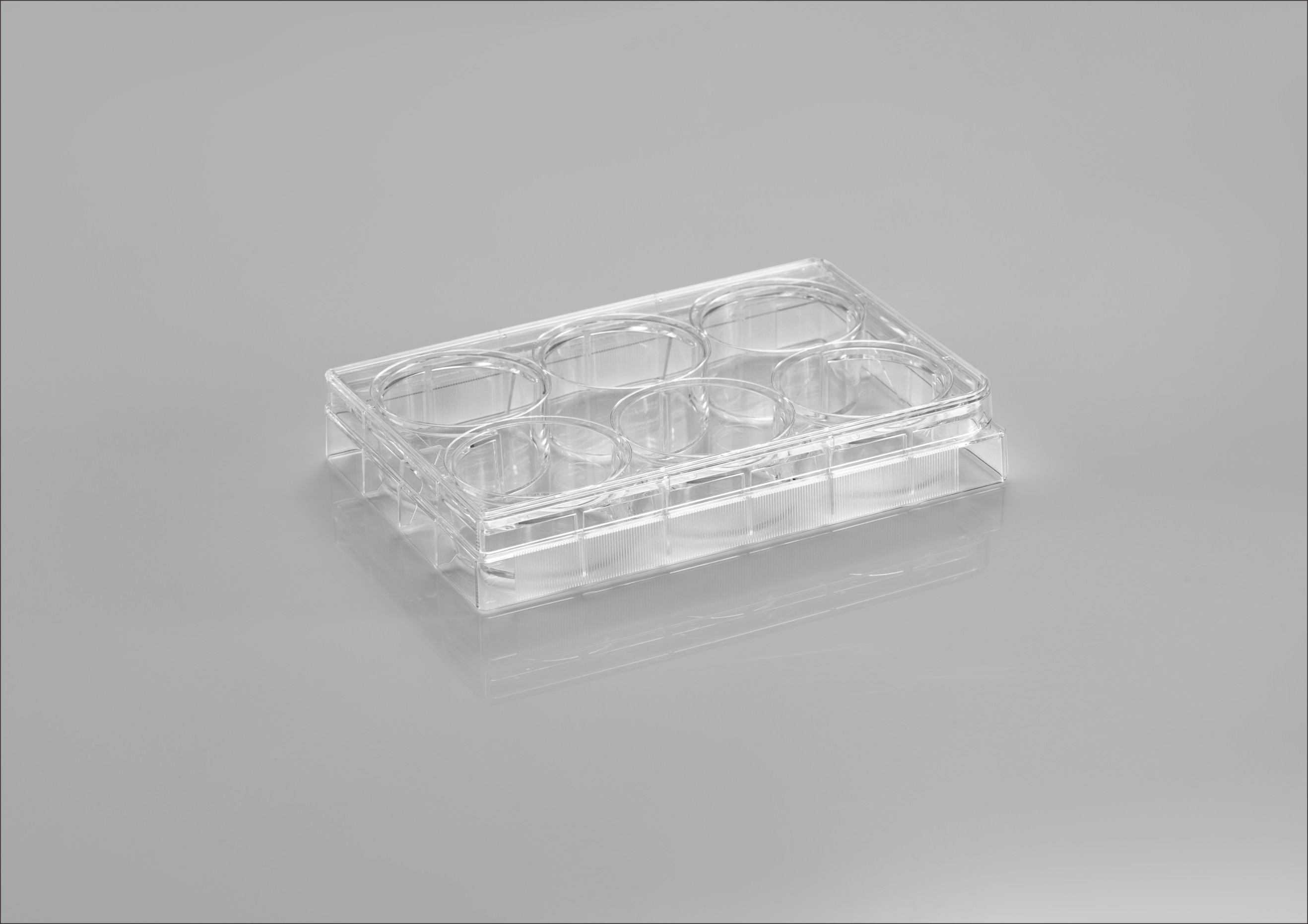 CL-PL006