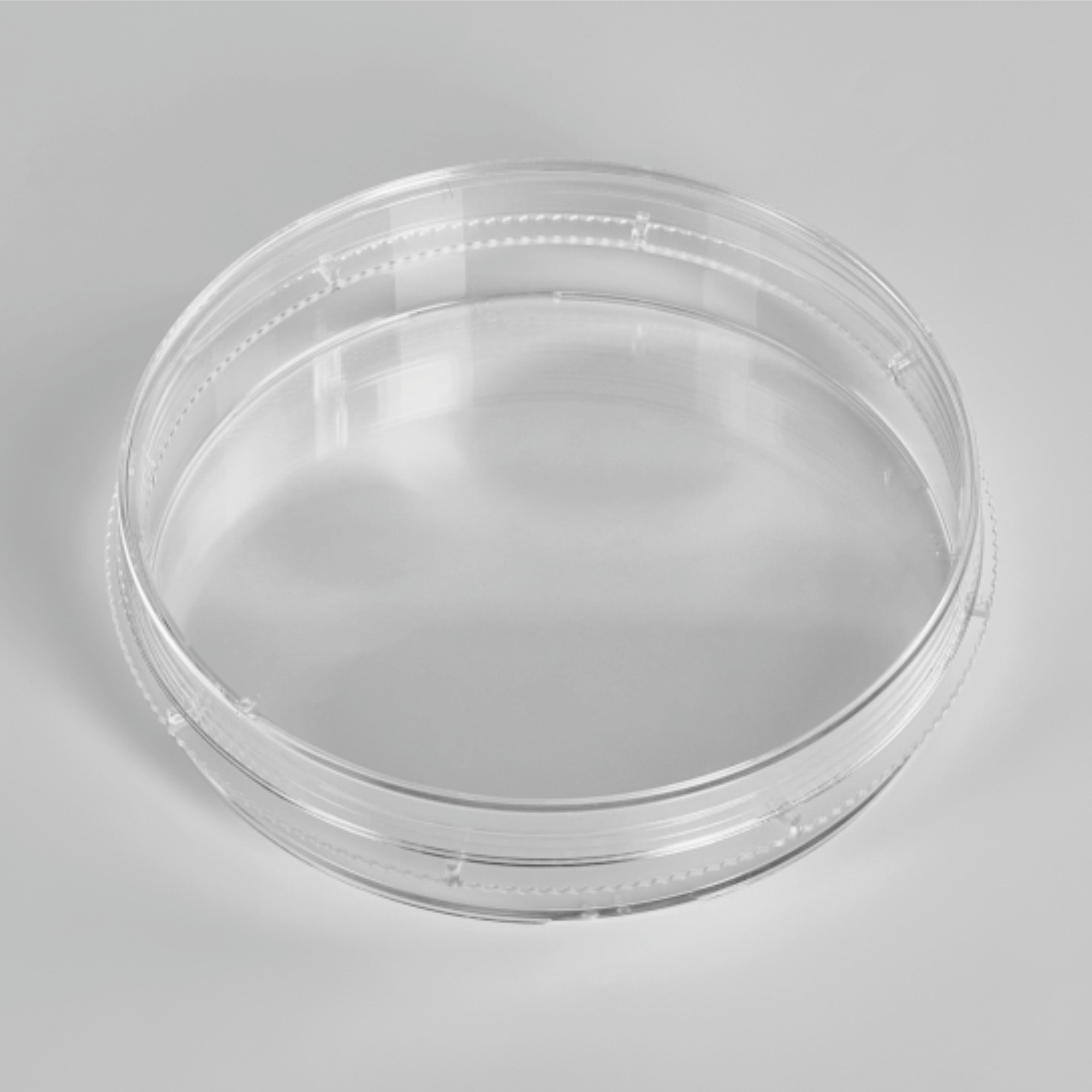 Cell Culture Dish