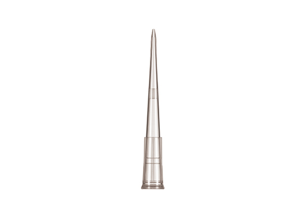 UFPT-F-20-L