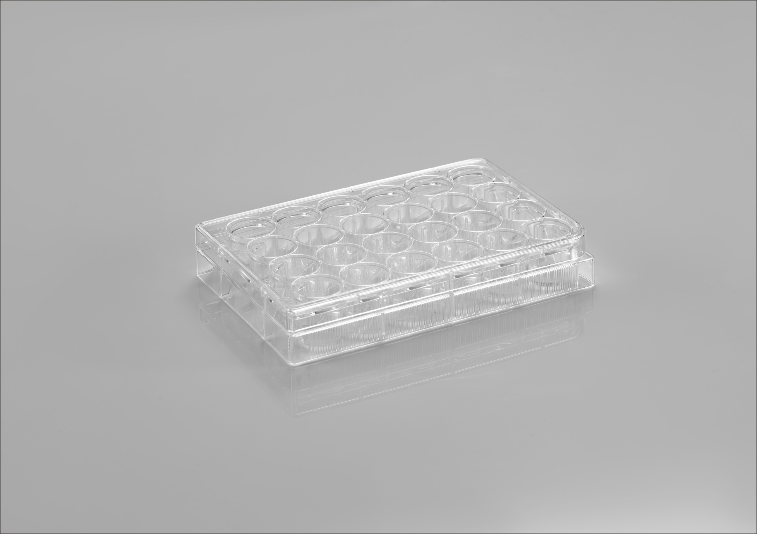 CL-PL024