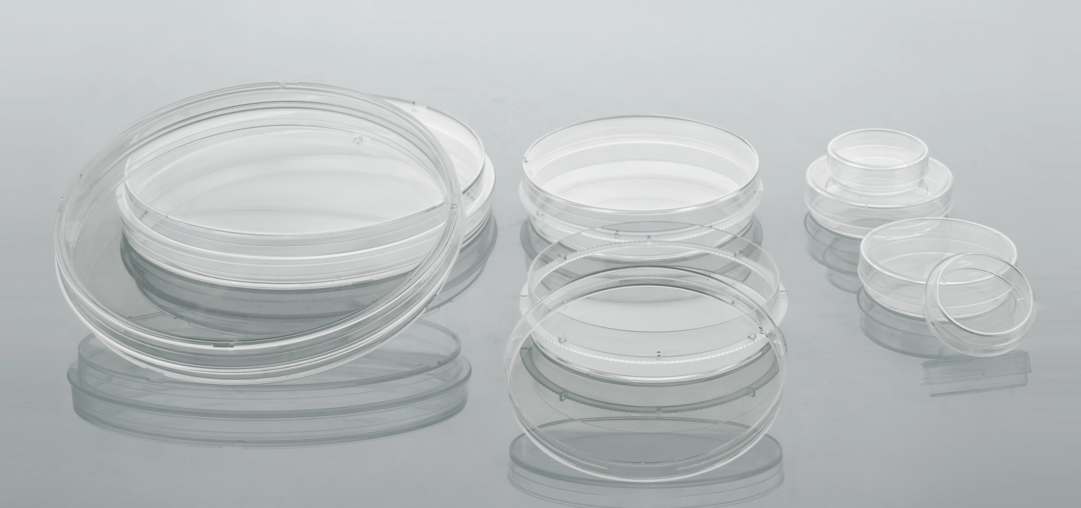 Cell Culture Dish
