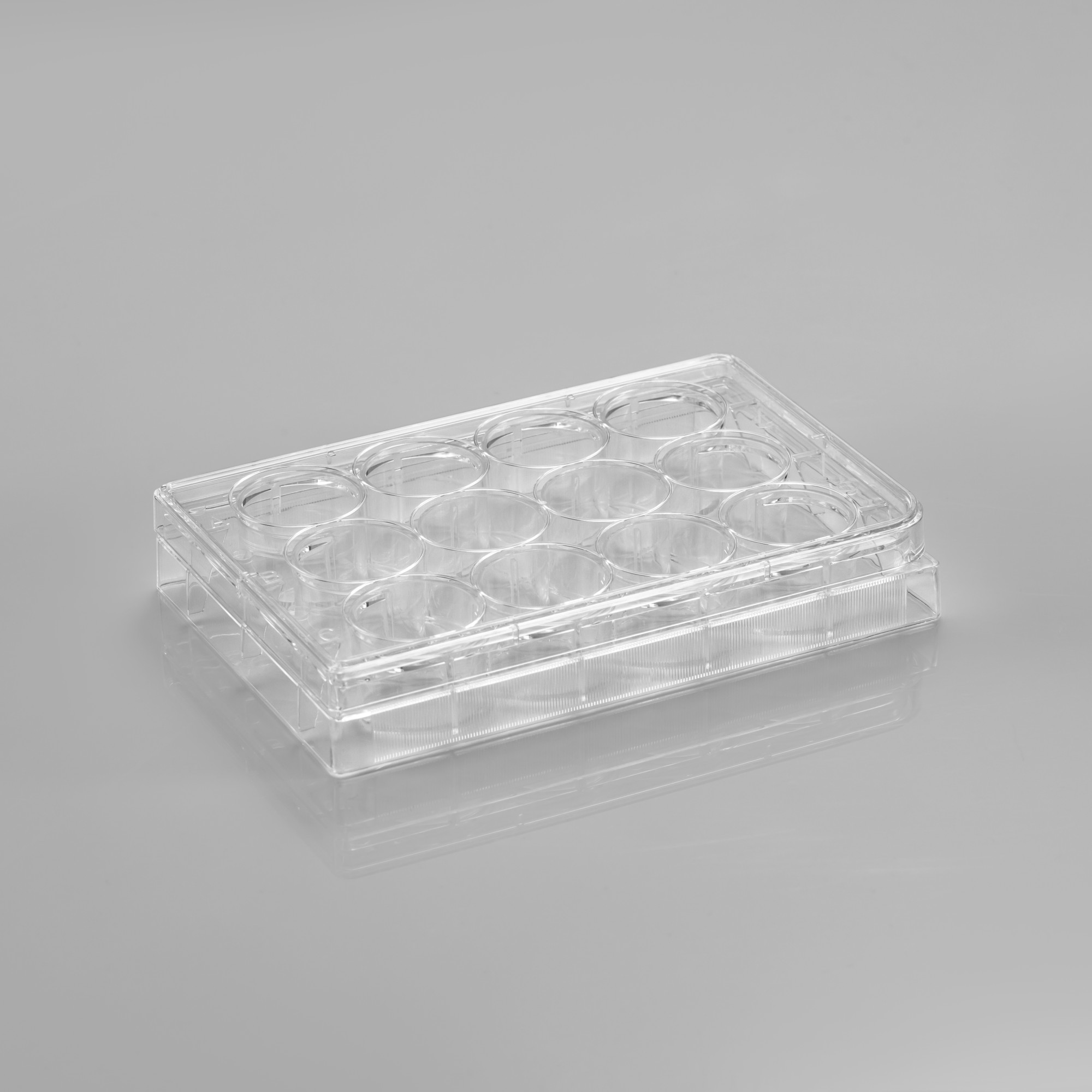 CL-PT012